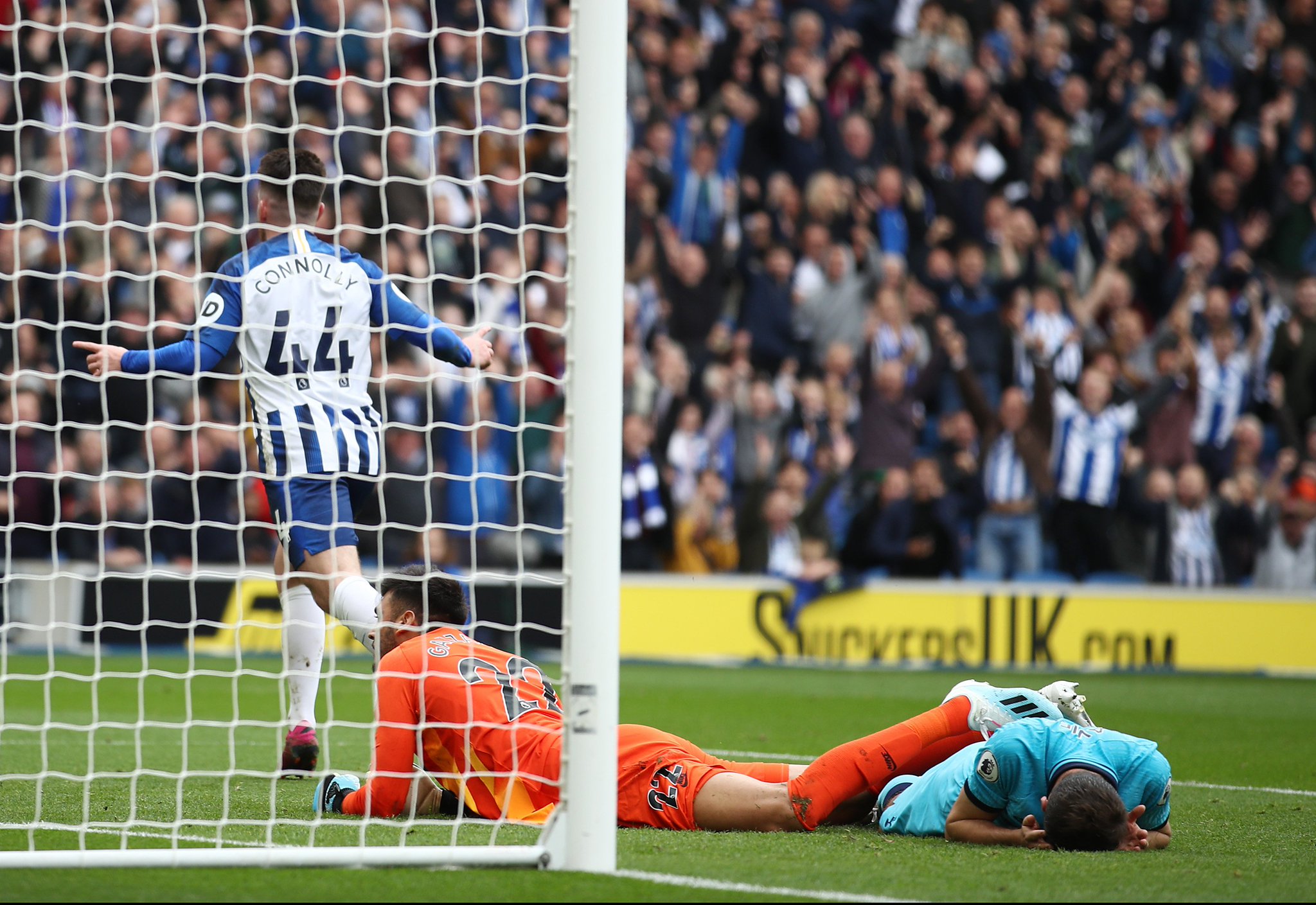 这提供了一 这提供了一