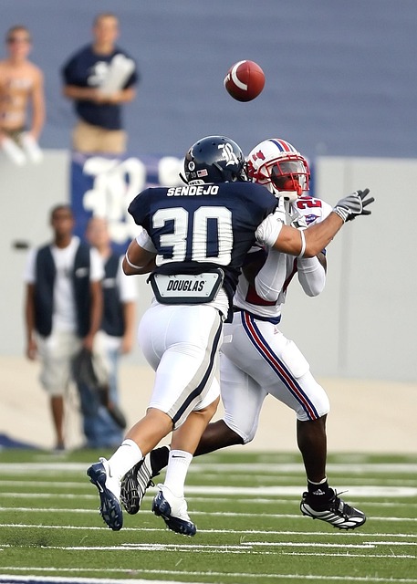 也凭借他的 也凭借他的